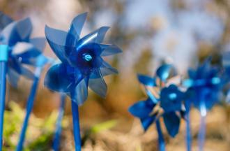 Blue pinwheels