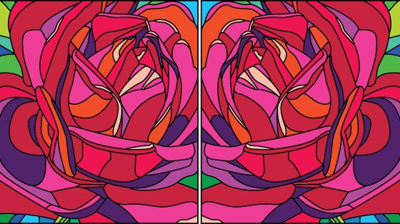 Illustrations of roses reflecting