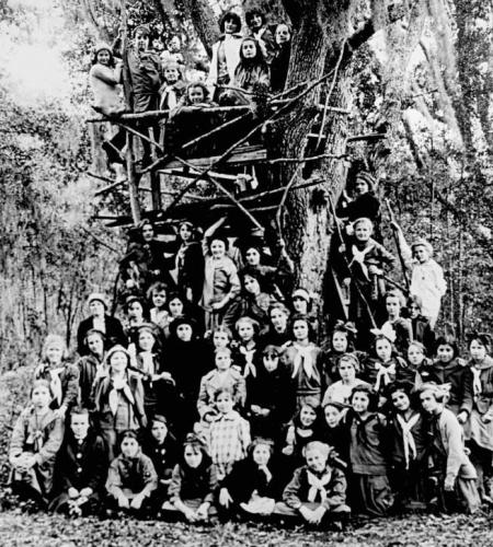 Approximately fifty Girl Scouts gather around a tree.