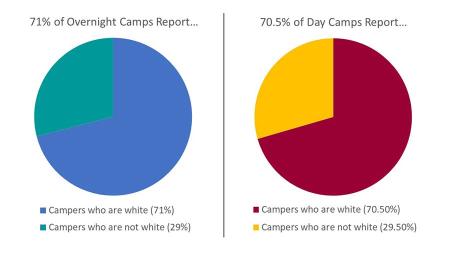 Figure 1. Camper Demographic: Ethnicity graph