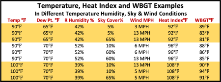 Temperature heat index graphic
